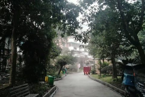 垃圾压缩站是不是免费扔的