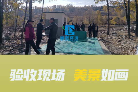 地埋式垃圾压缩中转站验收现场 美景如画